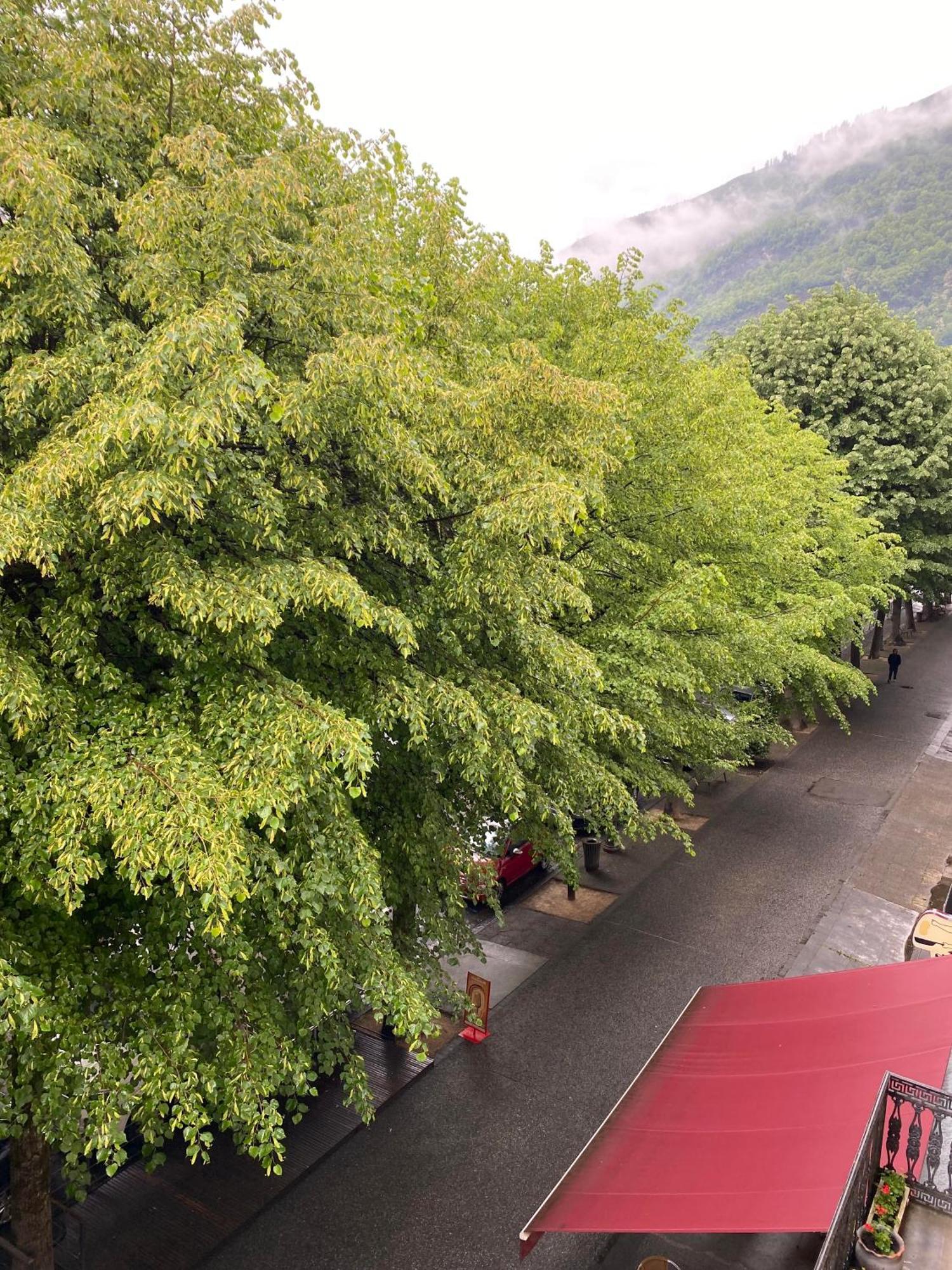 Au 47 Allees D'Etigny - Central & Standing - Avec Parking - Linge De Lit Et De Toilette Inclus Bagnères-de-Luchon Eksteriør billede